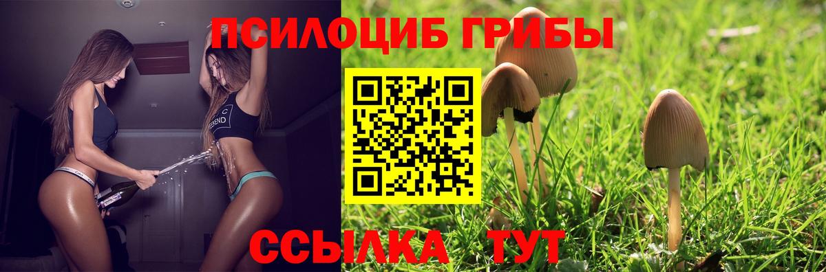 наркотики  Псилоцибиновые грибы прущие грибы  Вход с VPN  Воскресенск 